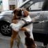 A Tutti gli amanti di animali