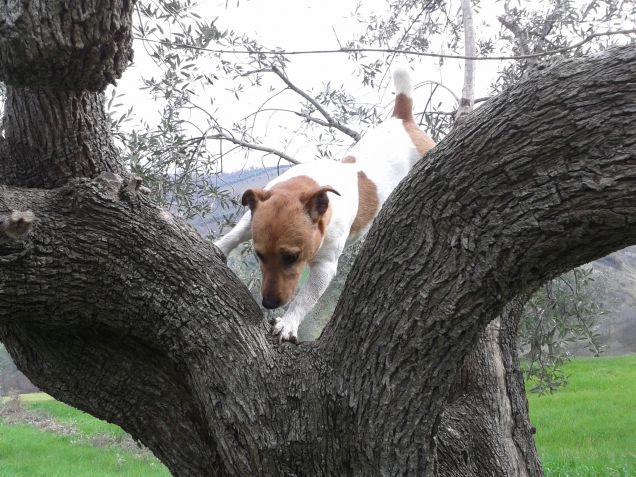 Scotty-un vero Indiana Jones