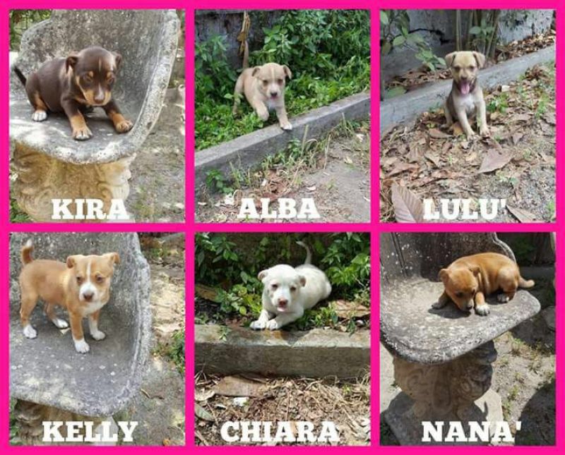 6 sorelline bellissime, taglia piccola 2 mesi