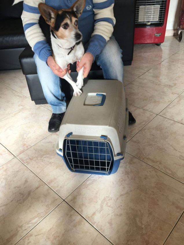 O'billillo sempre pronto a nuovi viaggi e avventure