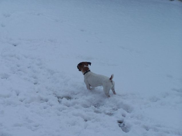 la neve è la mia passione