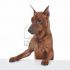 Pinscher toy