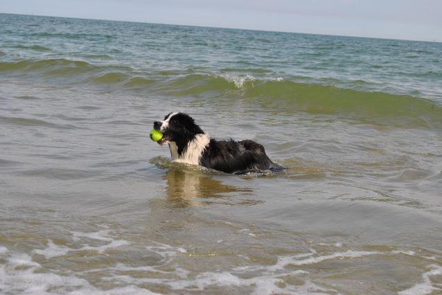 Thai e il 1' bagno al mare 