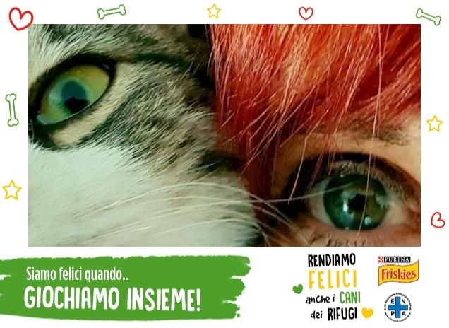 Tanto amore... miaooooo