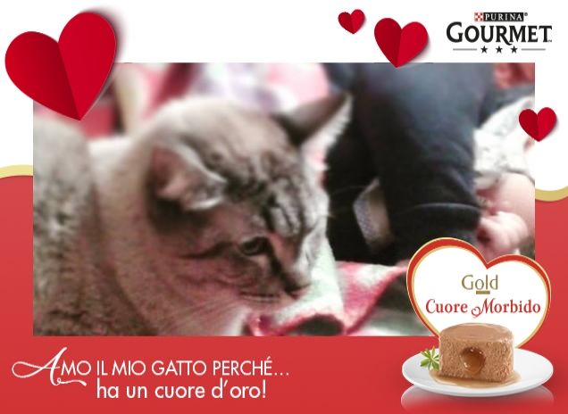 Il gatto da guardia