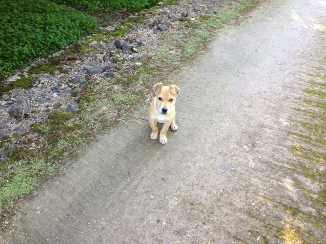 Mi aspetta per una corsetta