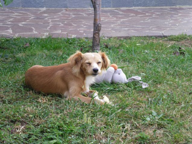 spuntino in pieno relax