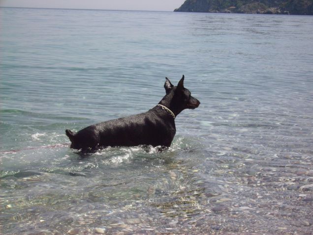 argo il dio dell'acqua