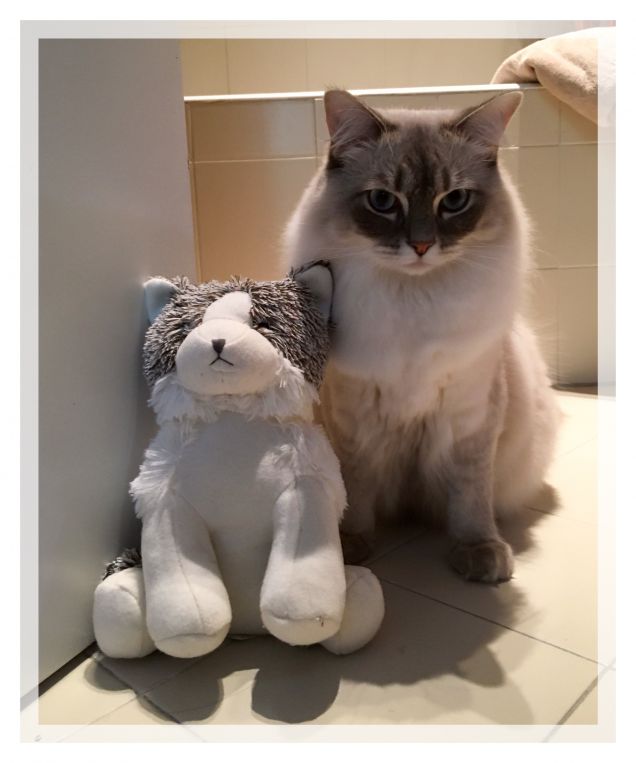 Mamma dobbiamo parlare.. chi è questo qui e cosa ci fa a casa nostra?