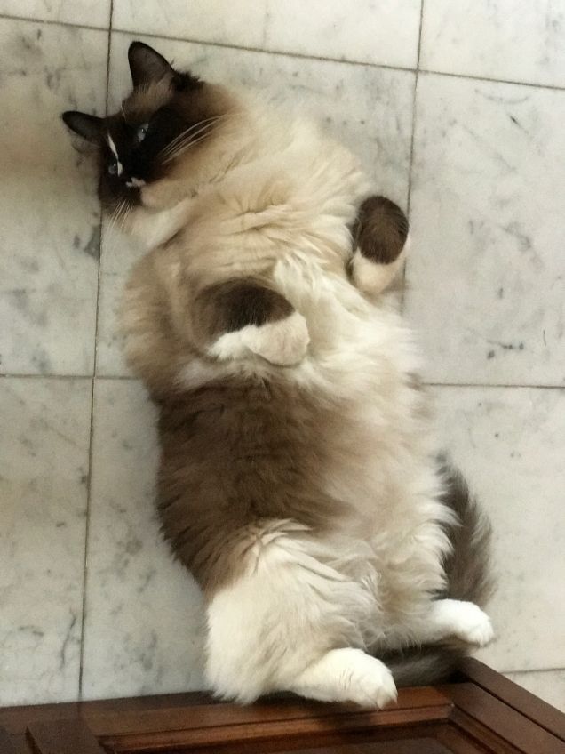 Un grattinooooo please!!!