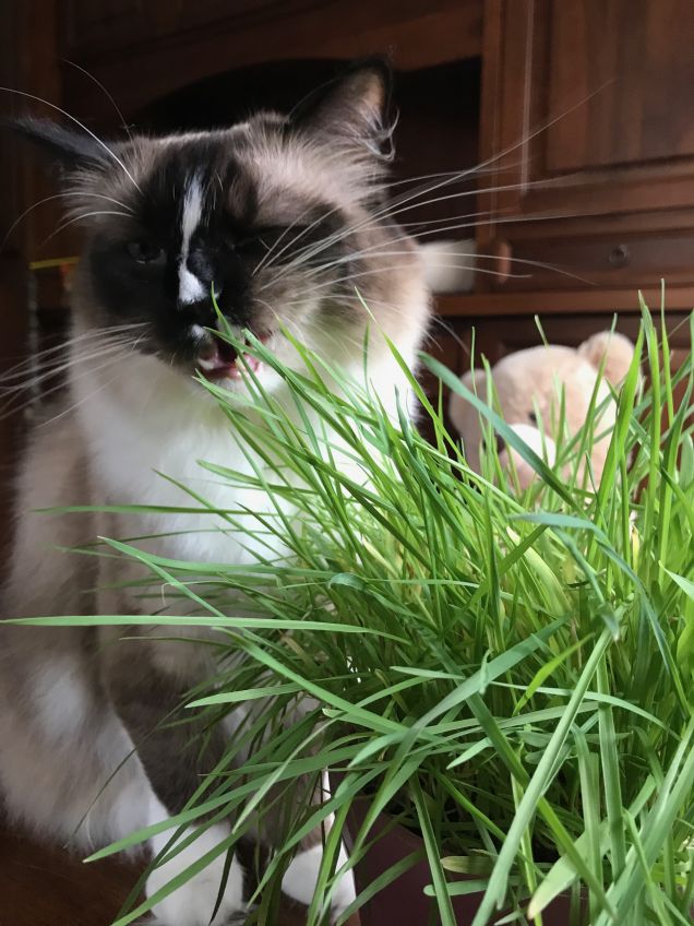 mammamia che buonaaaaaa!!!