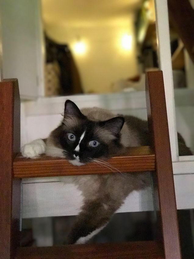 Dai mamma, ti ascolto da qui... non farmi scendere