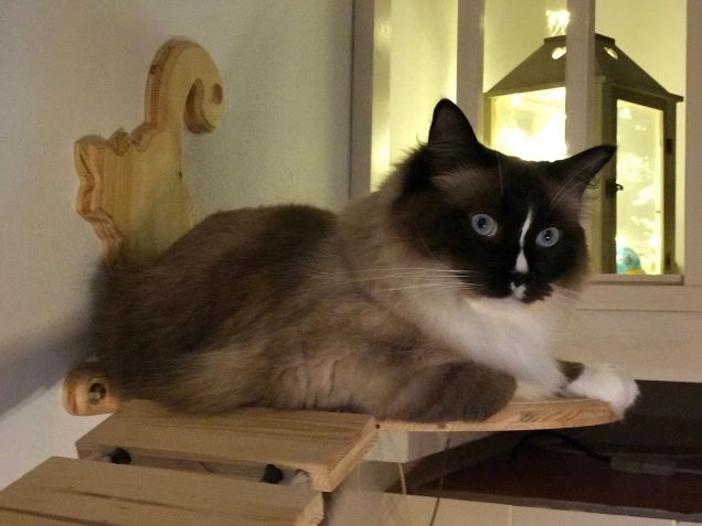 Perché mi guardi così?