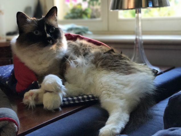 Ok mamma parliamo del tuo problema lavorativo