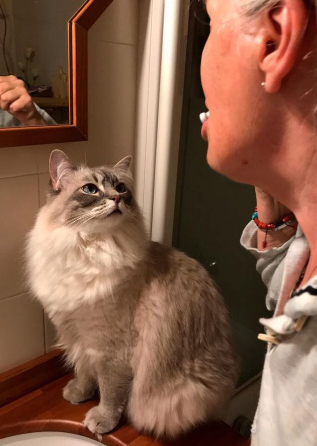 Nonnaaaa lo voglio anch'io il grattadenti!!!