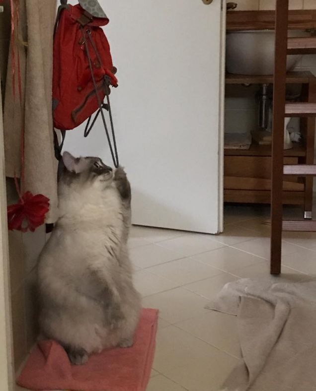 Non sono impigliato, sto solo aspettando l'autobus!!