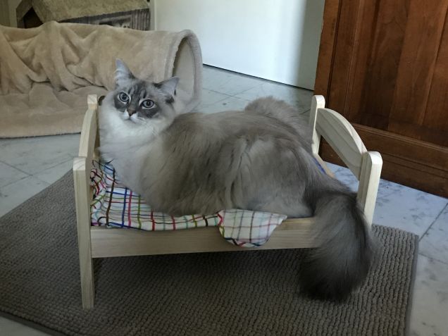 Questo lettino è proprio bello... grazie Ikea 