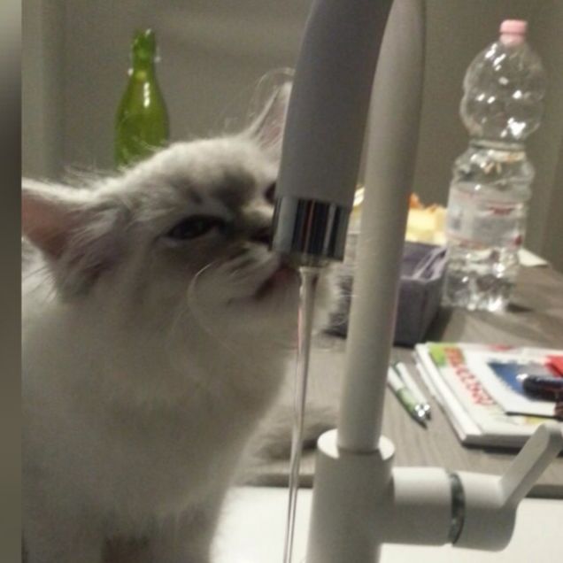 Buonaaaaa l'acqua che scendeeee