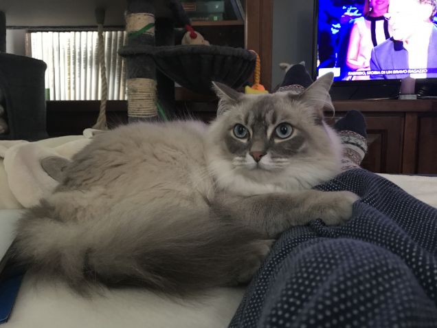 Il nostro momento magico... ❤️❤️❤️