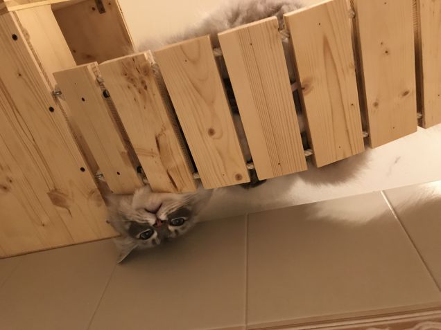 Dimmi... mi hai chiamato??