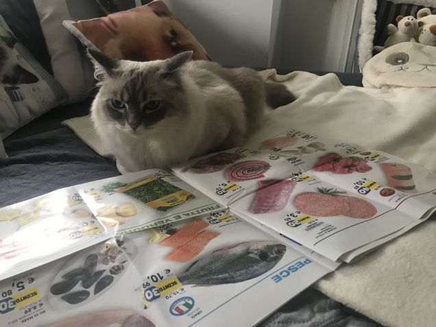 Mamma secondo me dovremmo approfittare dell'offerta del pesce...