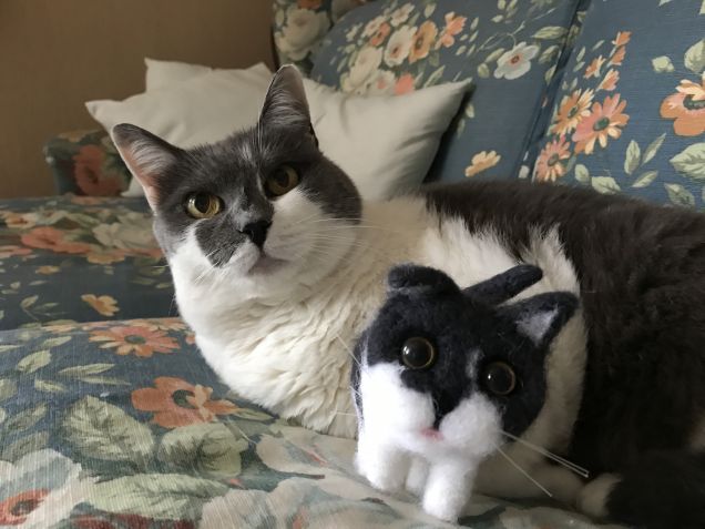 Ma questo qui che mi assomiglia chi sarebbe?