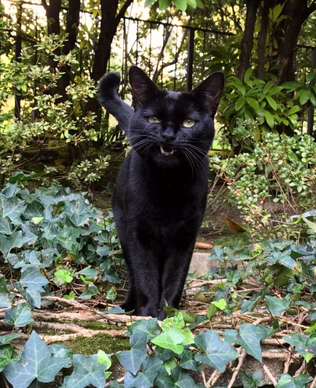 Umana ti aspetto da venti minuti per la merenda... esigo delle spiegazioni 
