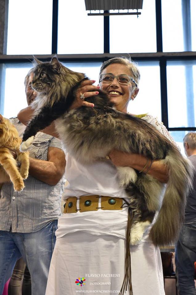 L'essenza della gioia