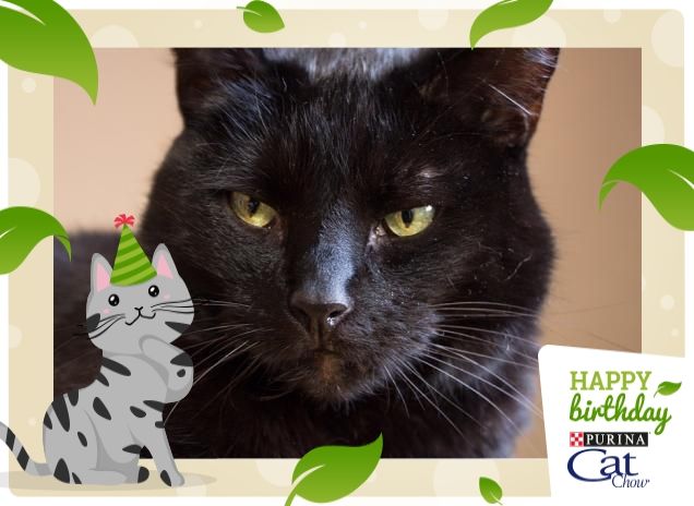 Buon compleanno da Minu