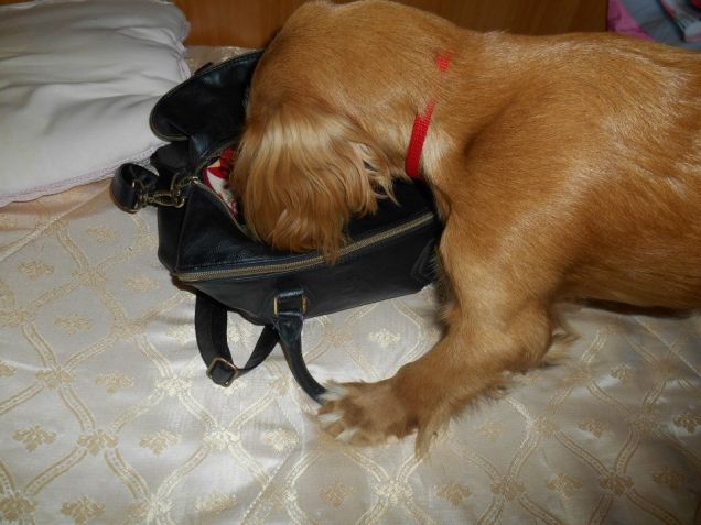 Più avventura di questa? 