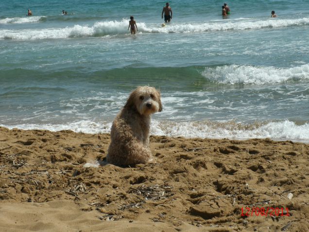 Bagnetto al Mare