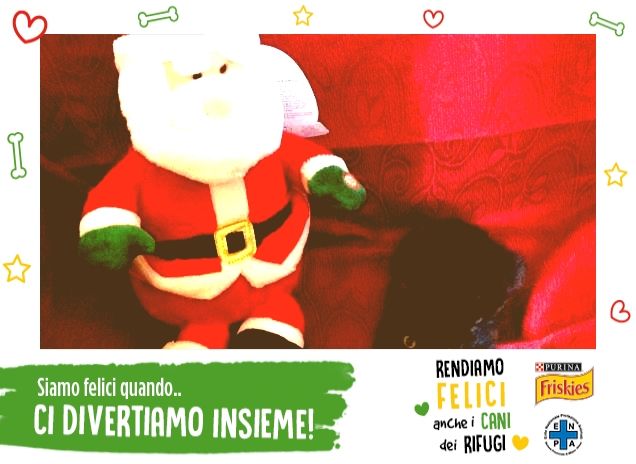 Dolce Natale con il mio micio!