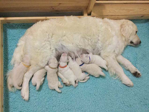 Asia e' diventata mamma il 15 giugno 2017