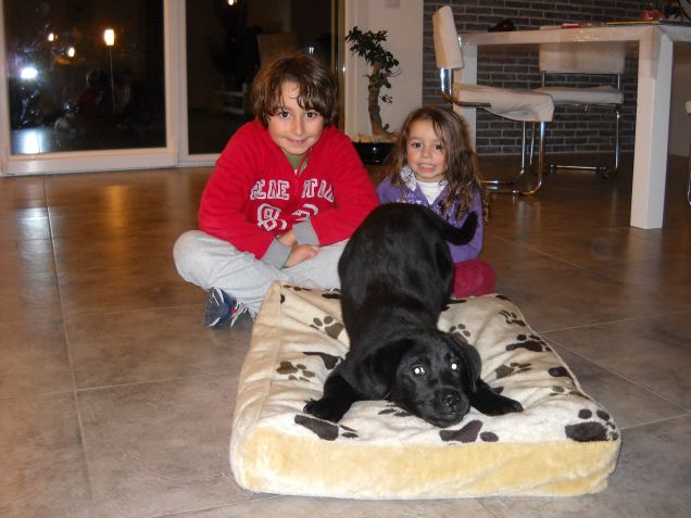 Il nostro dolce Beauty !