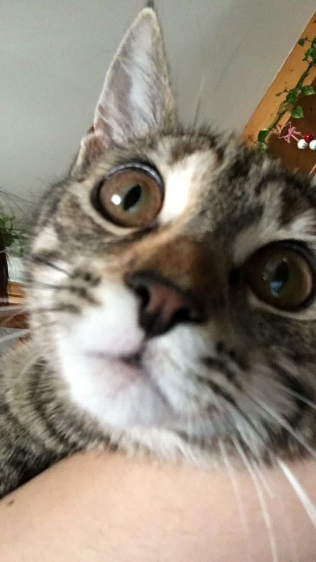 adora farsi fare le foto