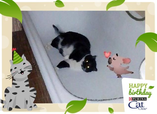 Buon Compleanno Sasha