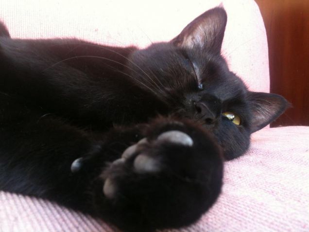 Occhio...... lino !!!! :)