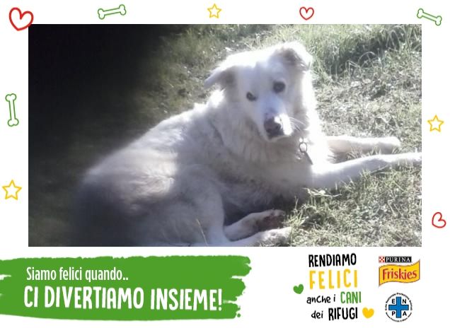 Ice Body Guard in giardino