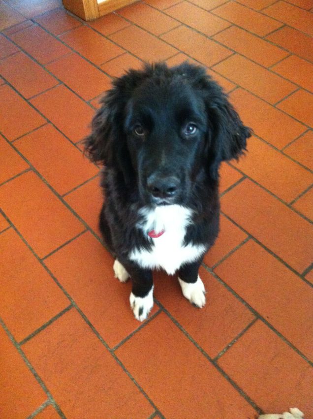 faccia da schiaffi parte 3