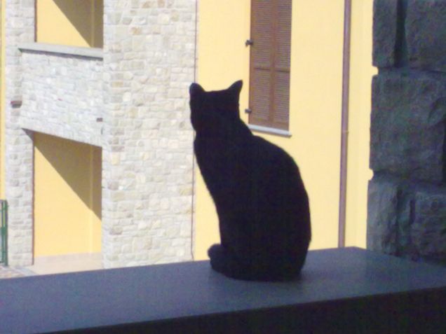 dal mio punto di vista.....