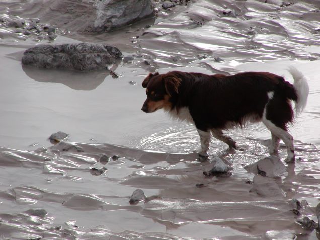 CHICCO e l'acqua...