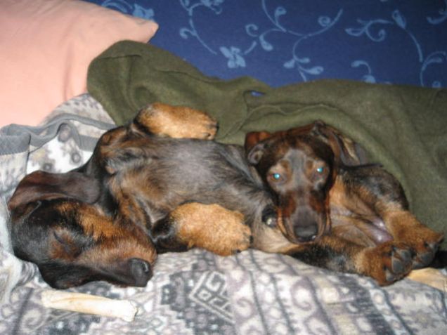 sul divano di casa si dorme ,un beneeeee