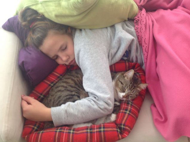 Le belle addormentate