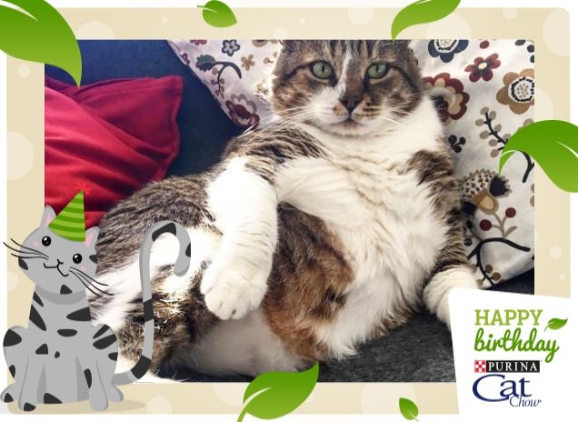 Quando inizia la festa