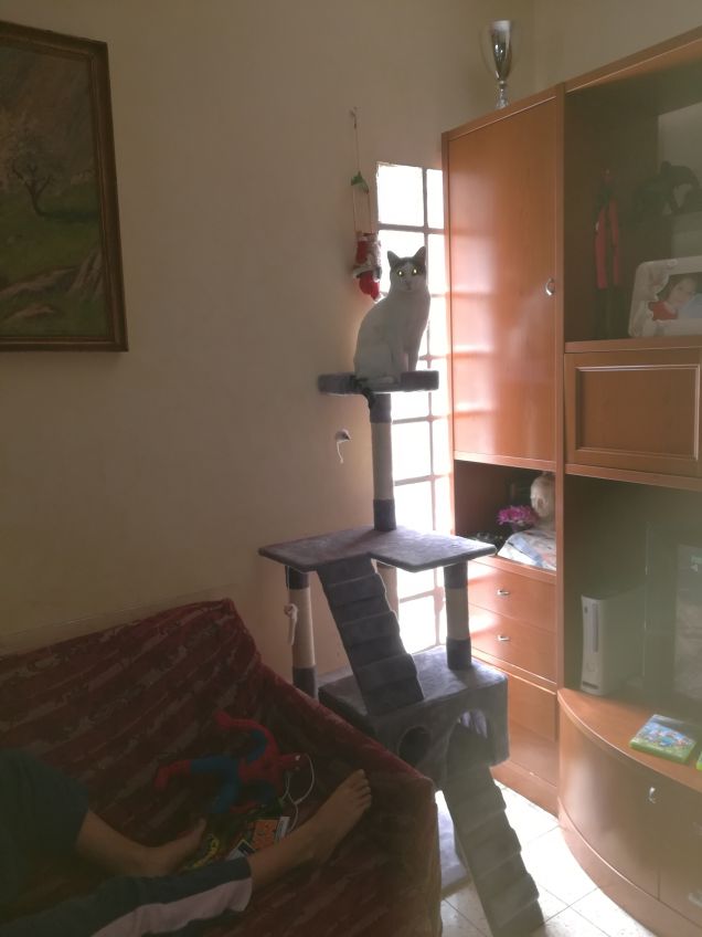 La vetta è conquistata 