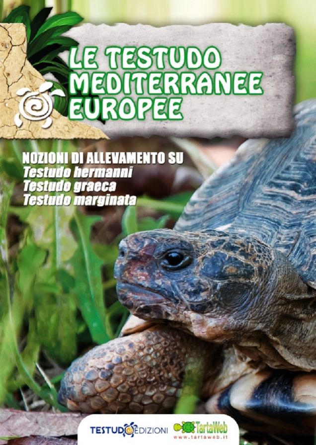 DVD - Le Testudo Mediterranee Europee