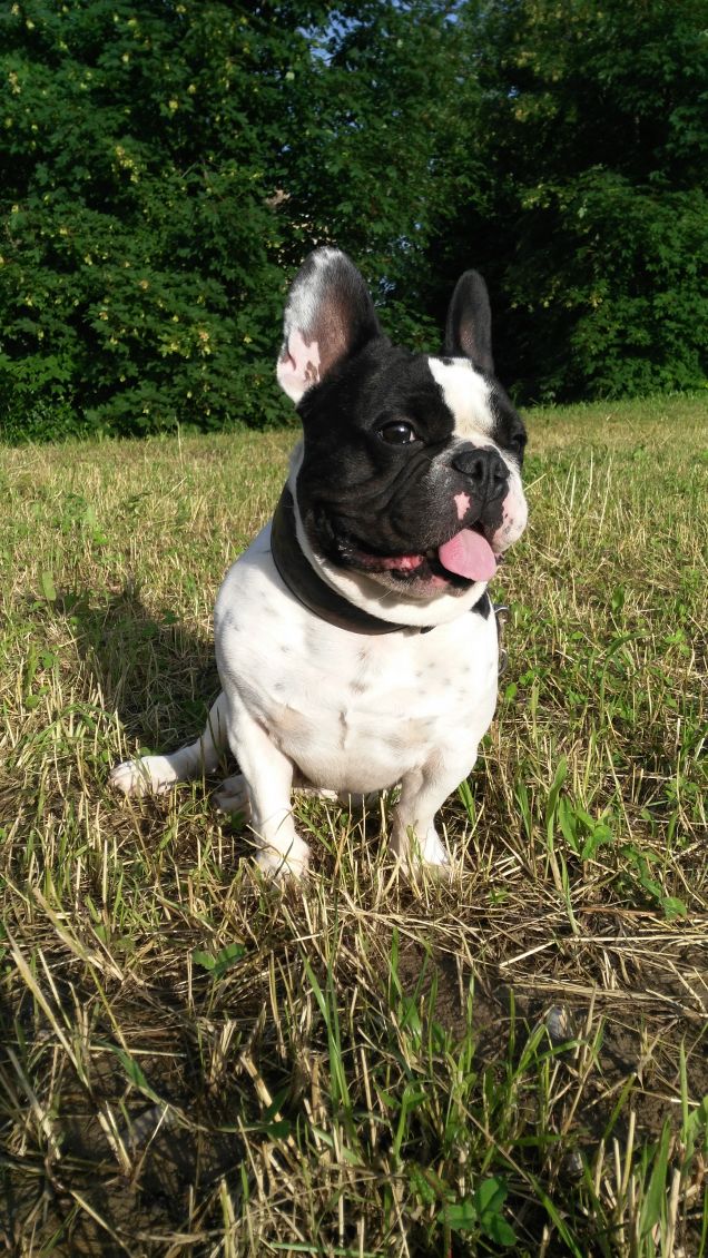 La calma prima della tempesta