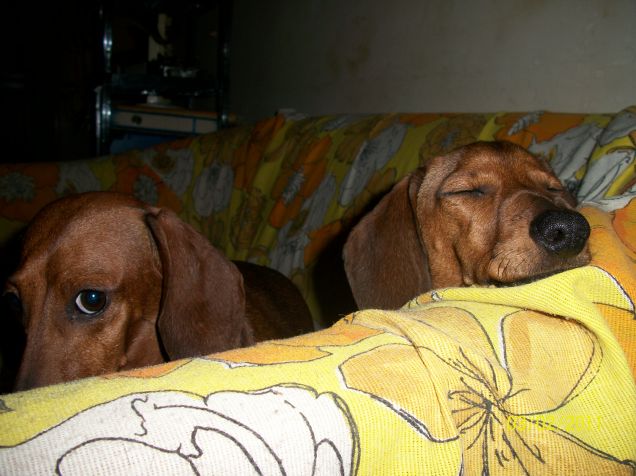 io e mio figlio Tommaso... quando faccio la faccia languida nessuno mi resiste 