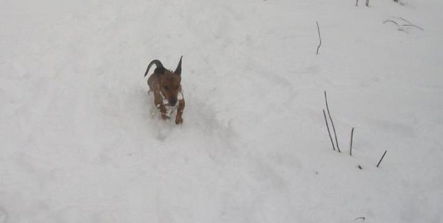 è natale! è natale! ah no sono solo i 10 cm di neve a roma