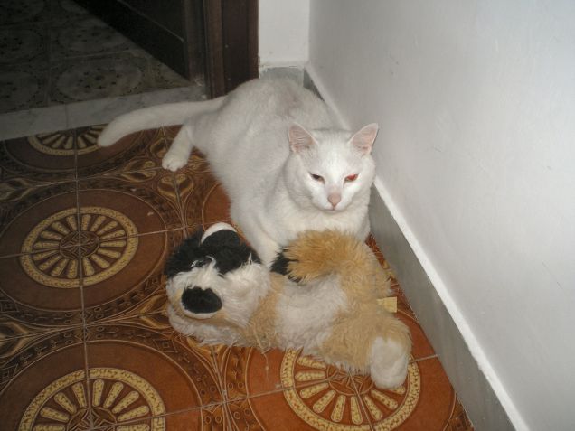 Romeo e il suo peluche...